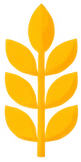 Ячмень - 33p.farm