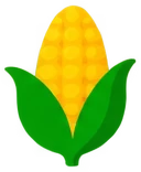 Кукуруза - 33p.farm