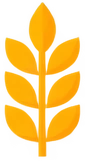 Пшеница - 33p.farm