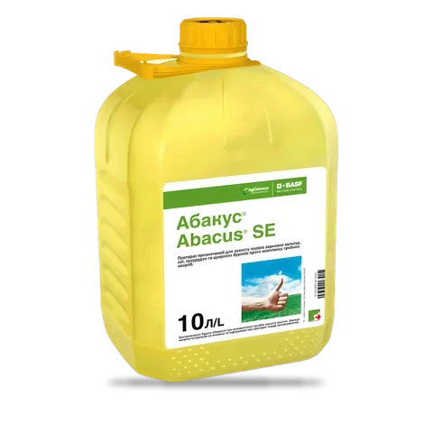 Абакус - 33p.farm