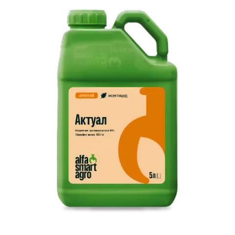 Актуал - 33p.farm