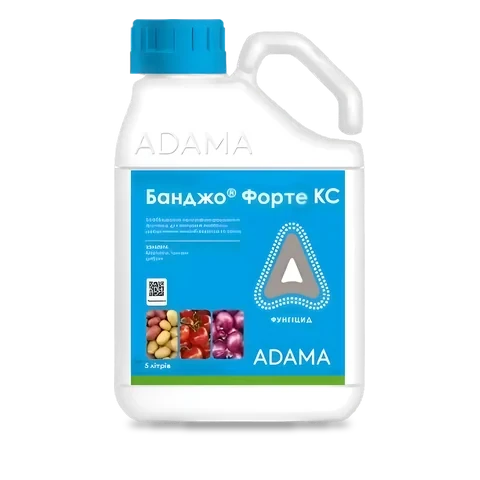 Банджо Форте - 33p.farm