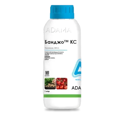Банджо - 33p.farm