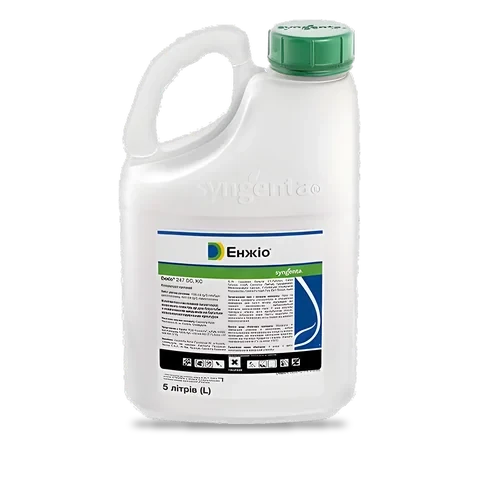 Енжіо 247 - 33p.farm