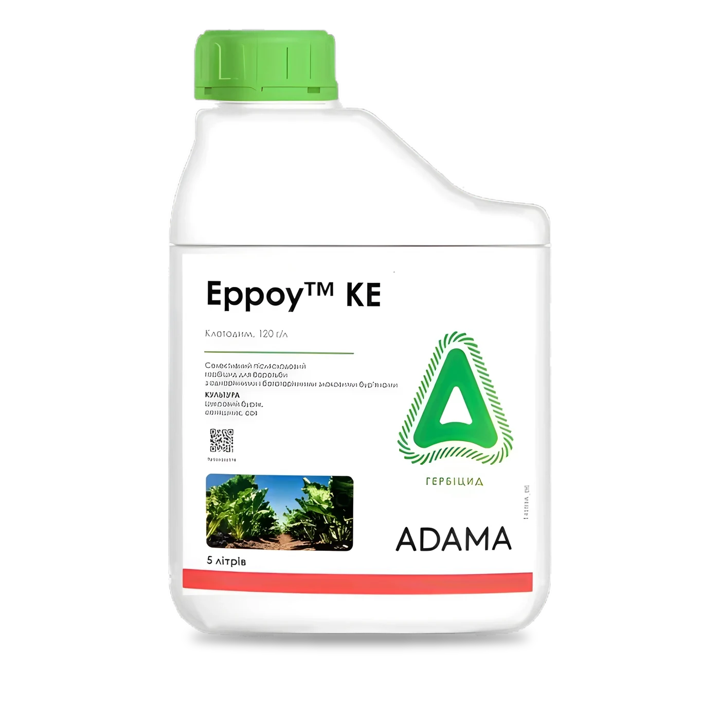 Ерроу - 33p.farm