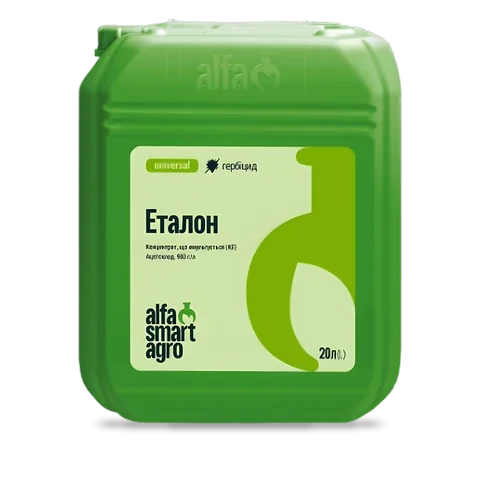 Еталон - 33p.farm