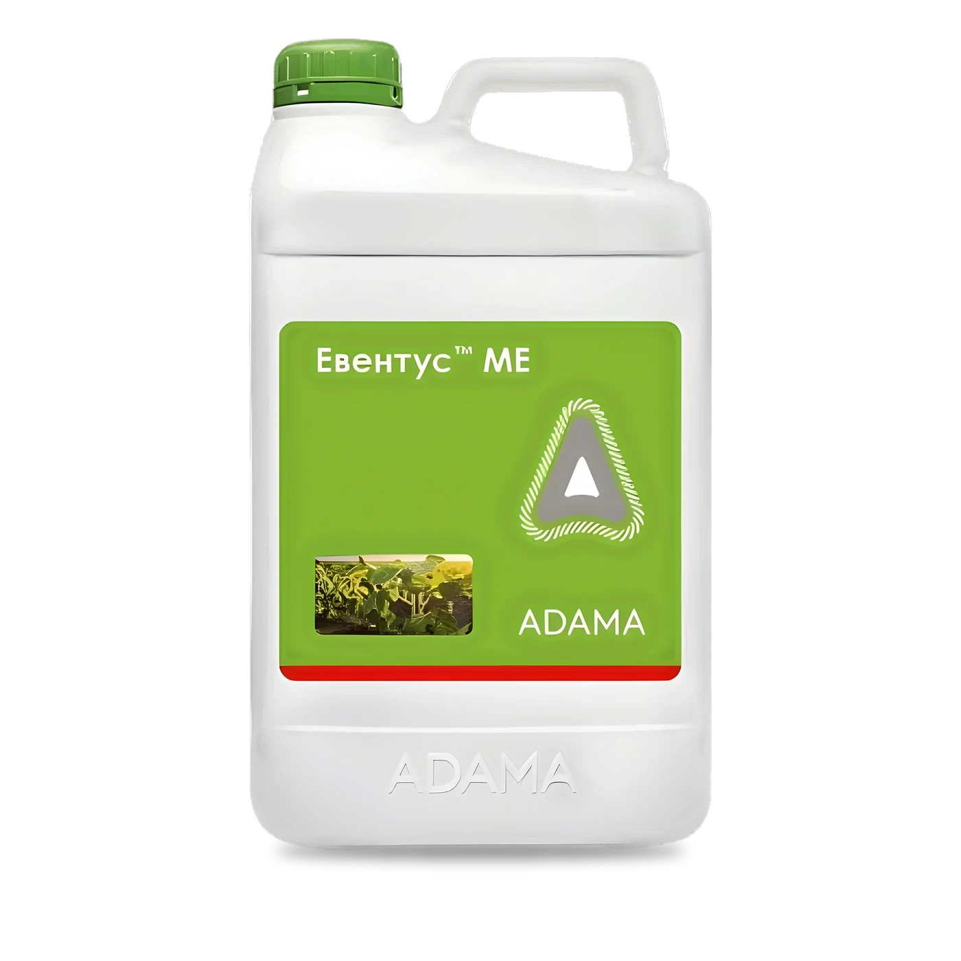Евентус - 33p.farm