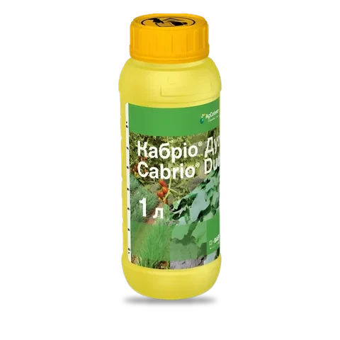 Кабріо Дуо - 33p.farm