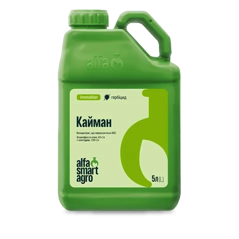 Кайман - 33p.farm