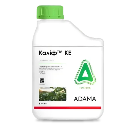 Калиф 480 - 33p.farm
