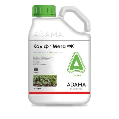 Калиф Мега - 33p.farm