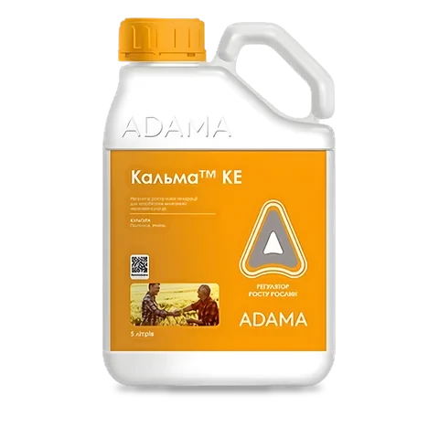 Кальма - 33p.farm
