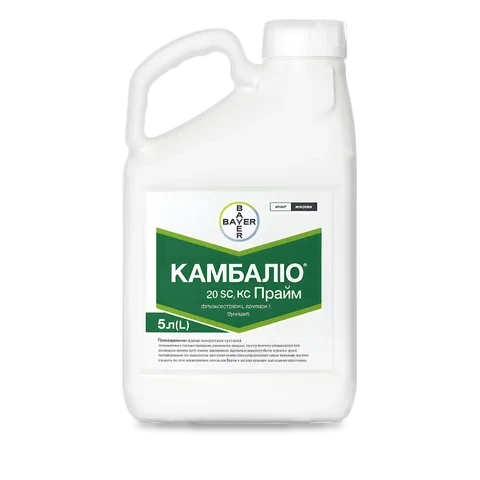 Камбаліо Прайм - 33p.farm