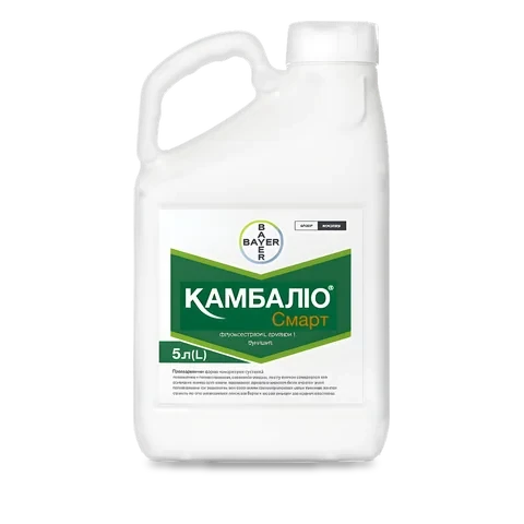 Камбаліо Смарт - 33p.farm
