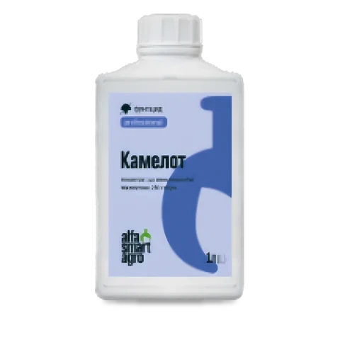 Камелот - 33p.farm