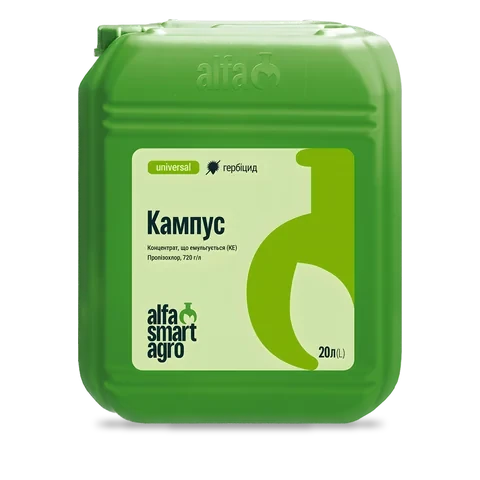 Кампус - 33p.farm