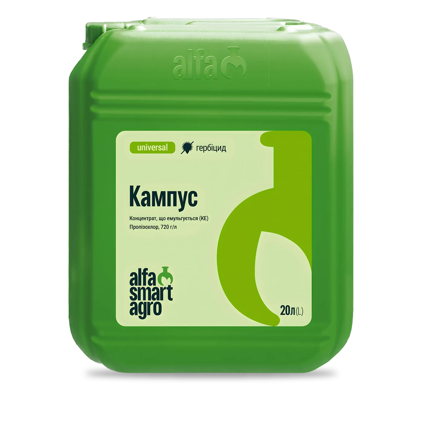 Кампус - 33p.farm