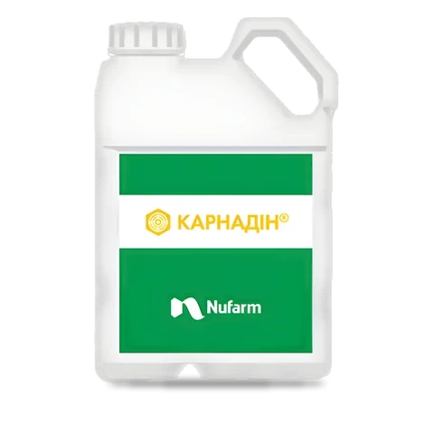Карнадін - 33p.farm