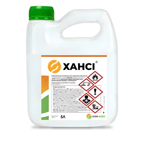 Хансі - 33p.farm