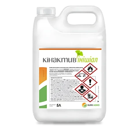Кінактив Інішіал - 33p.farm