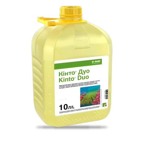 Кінто Дуо - 33p.farm