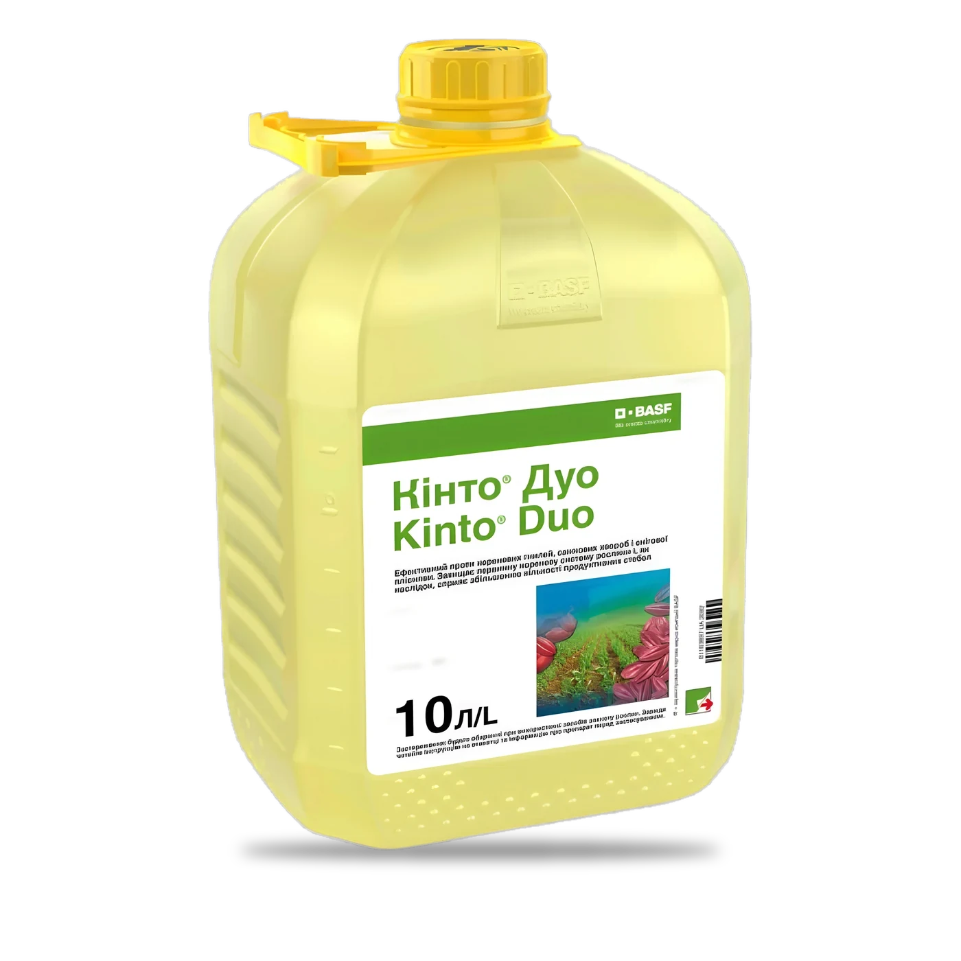 Кінто Дуо - 33p.farm