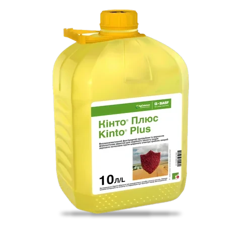 Кінто Плюс - 33p.farm
