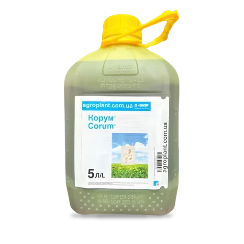 Корум - 33p.farm