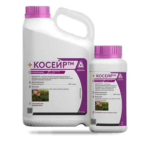 Косейр - 33p.farm