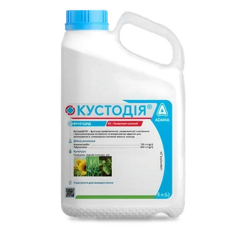 Кустодія - 33p.farm