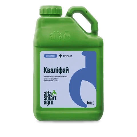 Кваліфай - 33p.farm