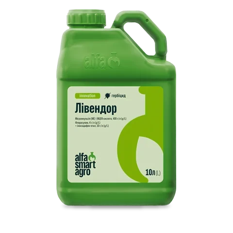 Лівендор - 33p.farm