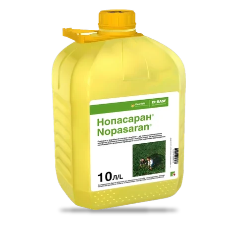 Нопасаран - 33p.farm
