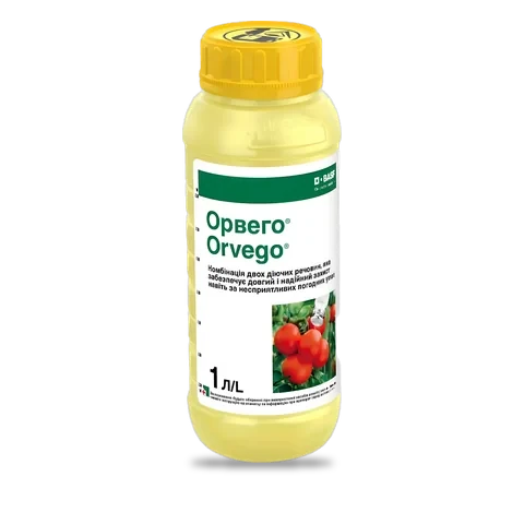 Орвего - 33p.farm