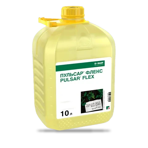Пульсар Флекс - 33p.farm