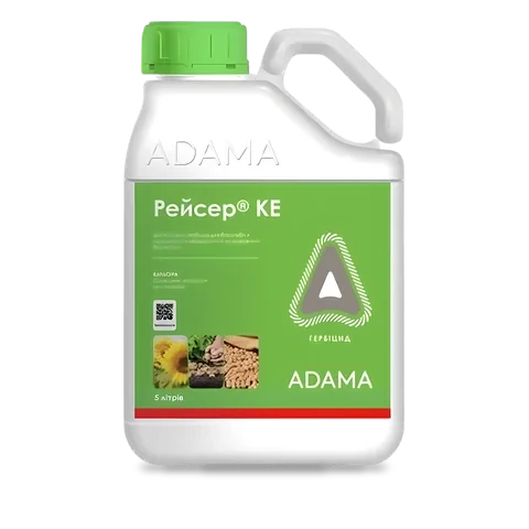 Рейсер - 33p.farm