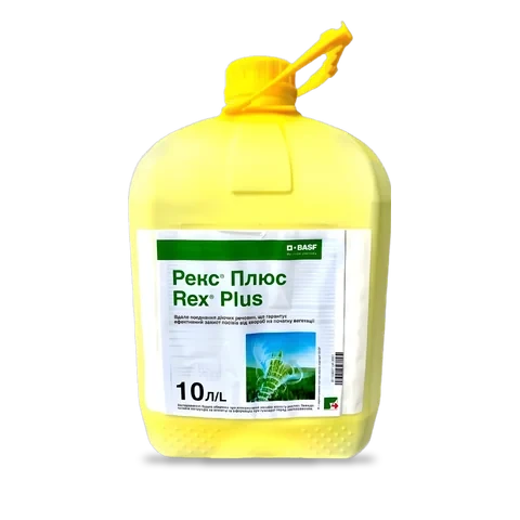 Рекс Плюс - 33p.farm