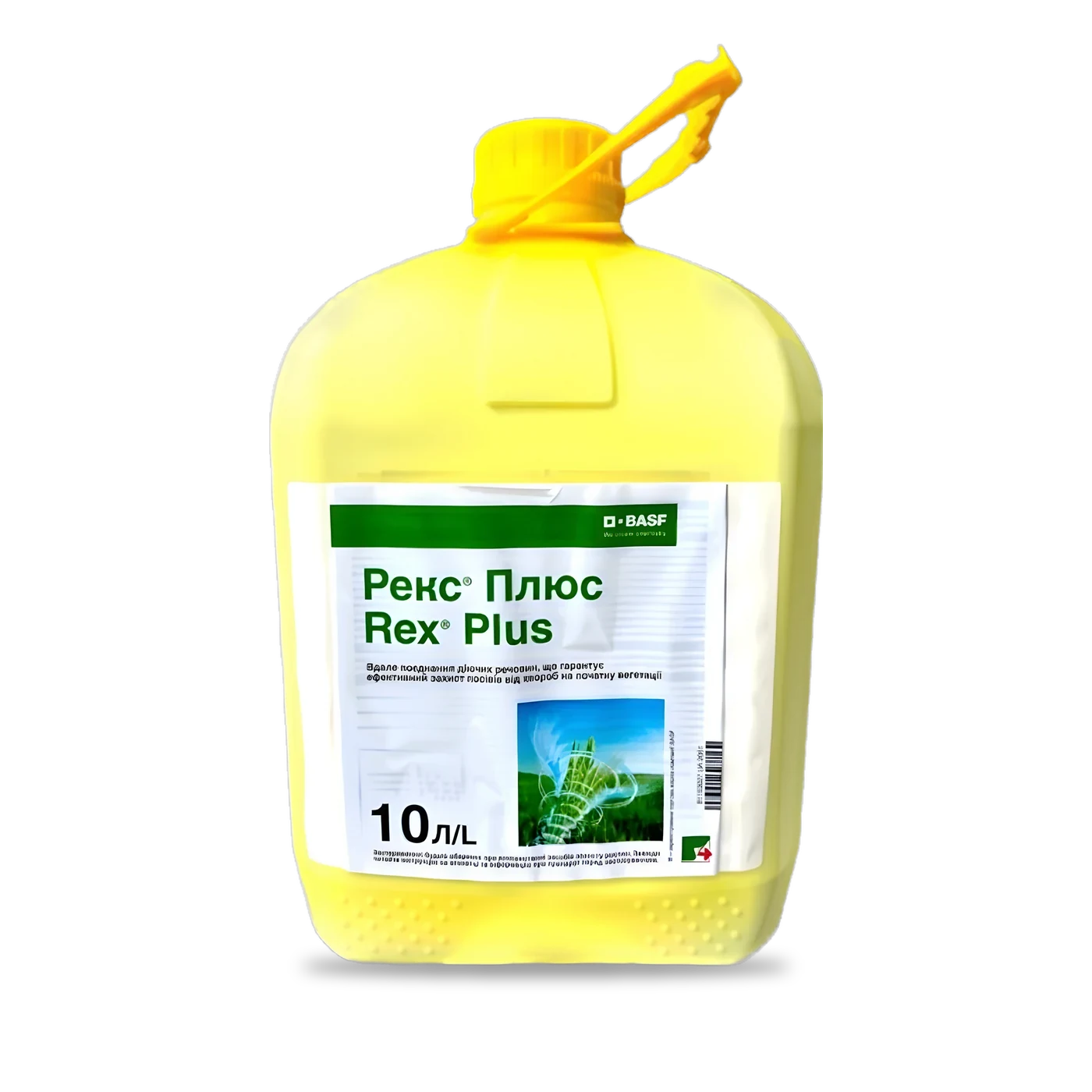 Рекс Плюс - 33p.farm