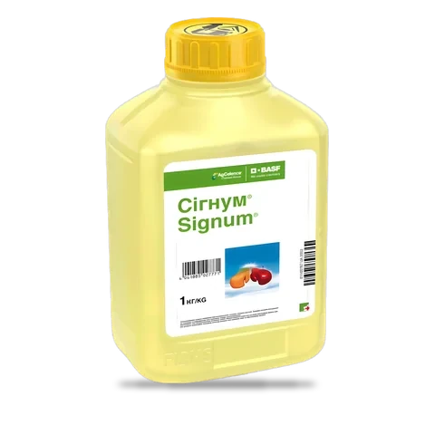 Сігнум - 33p.farm
