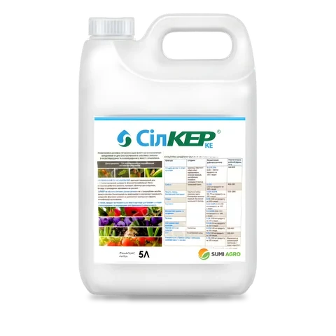 Сілкер - 33p.farm