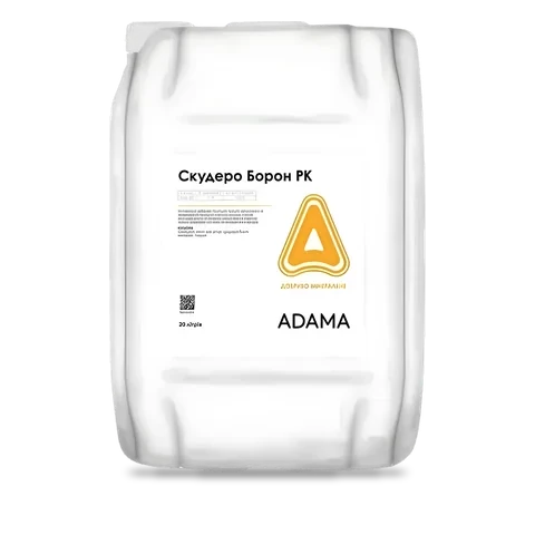 Скудеро Борон - 33p.farm