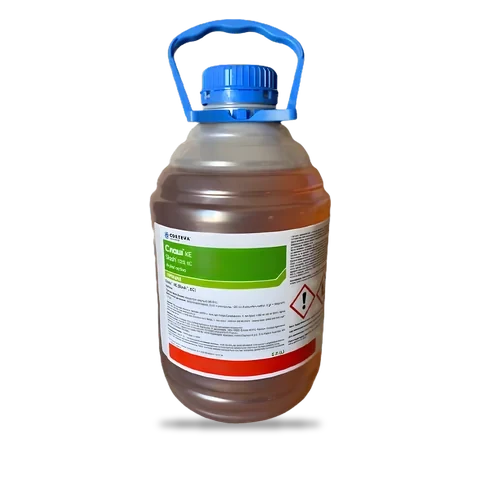 Слаш - 33p.farm