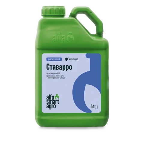 Ставарро - 33p.farm