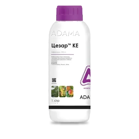 Цезар - 33p.farm