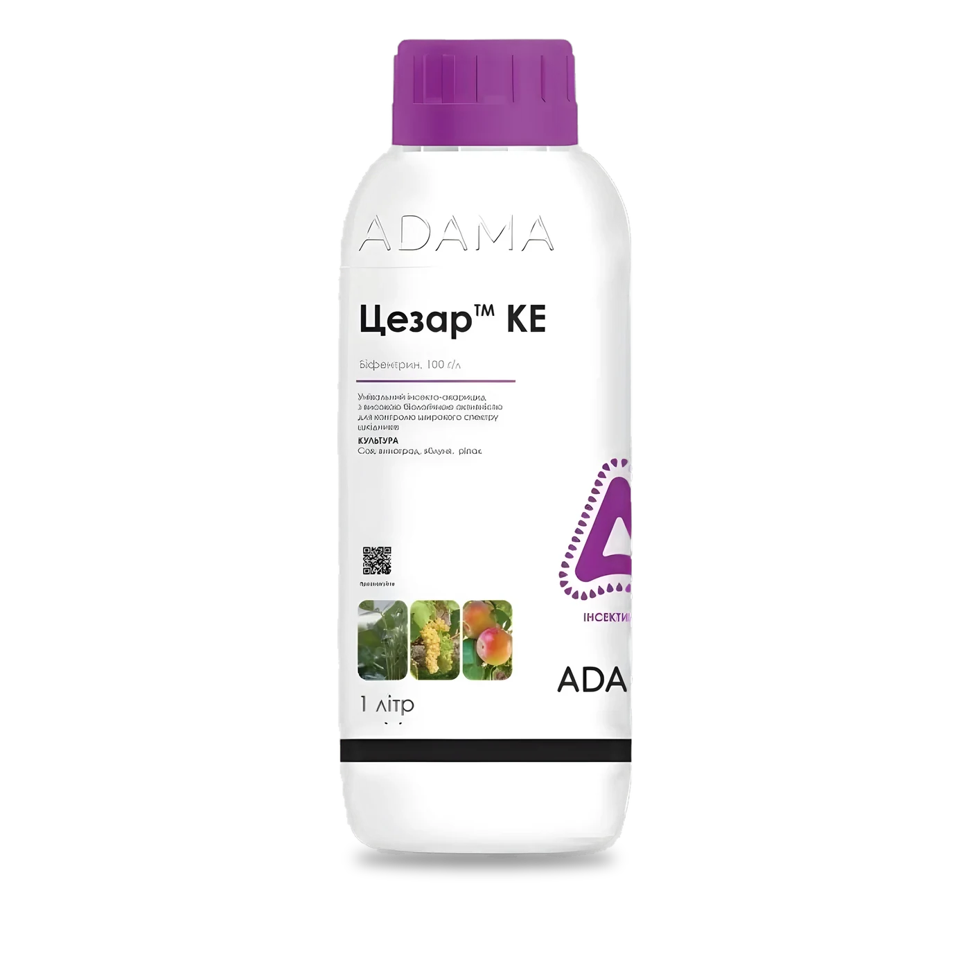 Цезар - 33p.farm