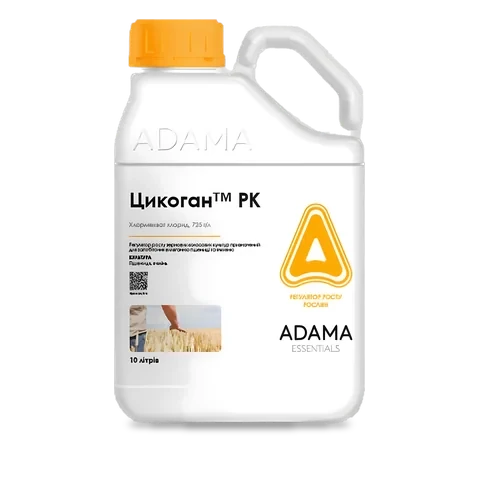 Цикоган - 33p.farm