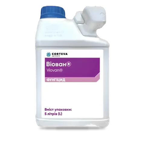 Віован - 33p.farm